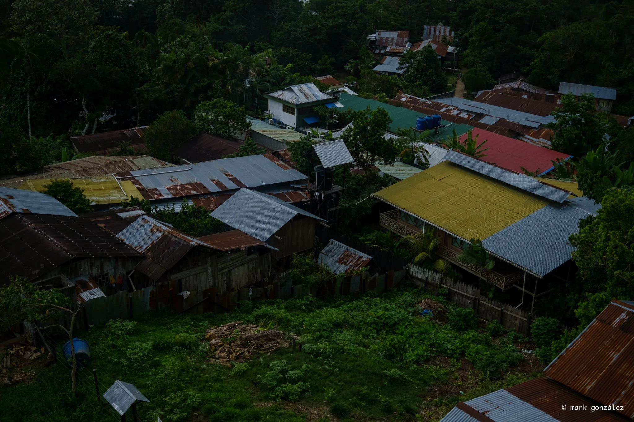 DSCF2534.jpg