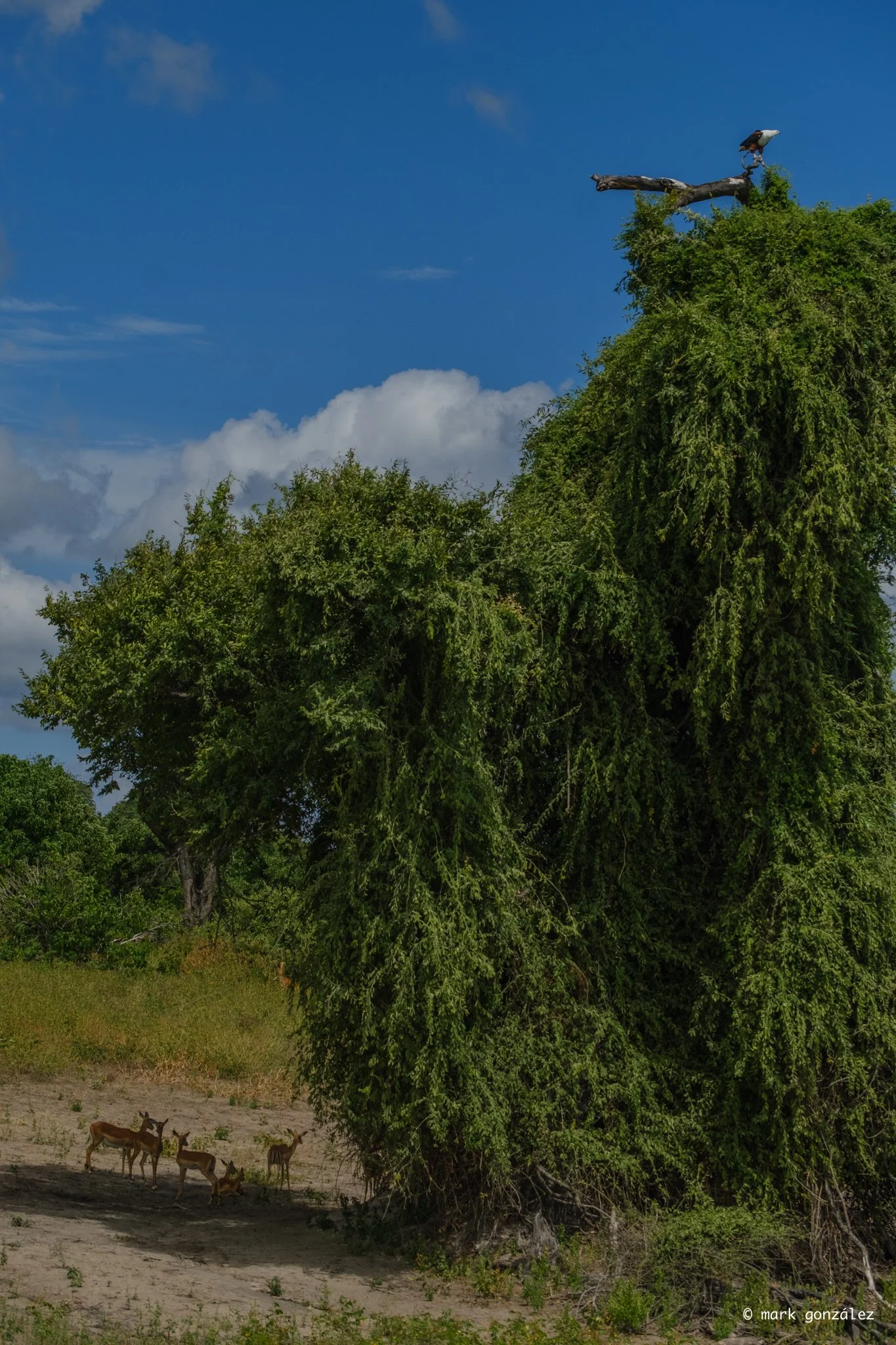 DSCF3636.jpg