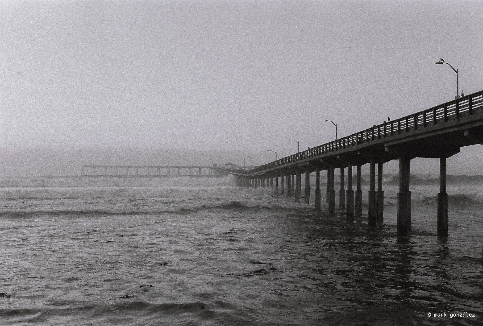R1-05717-0009.jpg