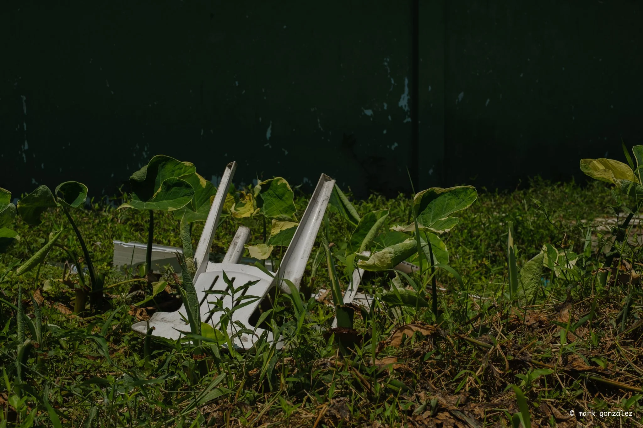 DSCF2618.jpg