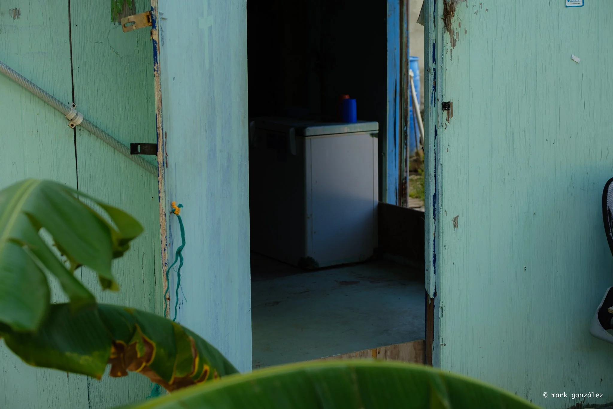DSCF0176.jpg