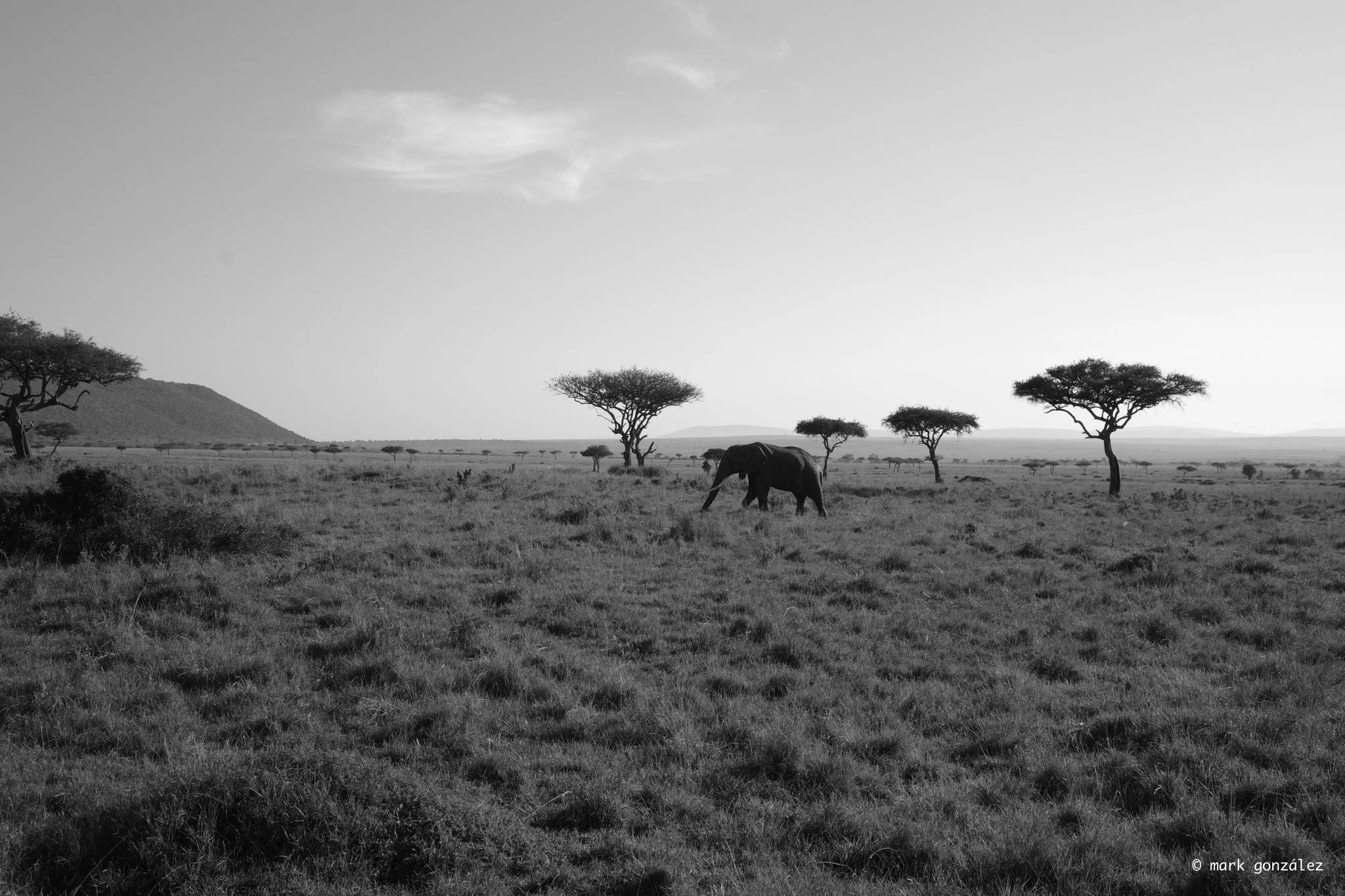 R0002377.jpg