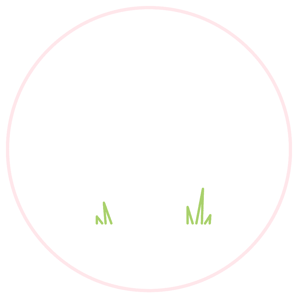 Beneath The Toadstool Branding – grow your brand with the confidence for it to sparkle