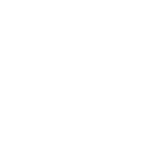 NEON Thinking logo