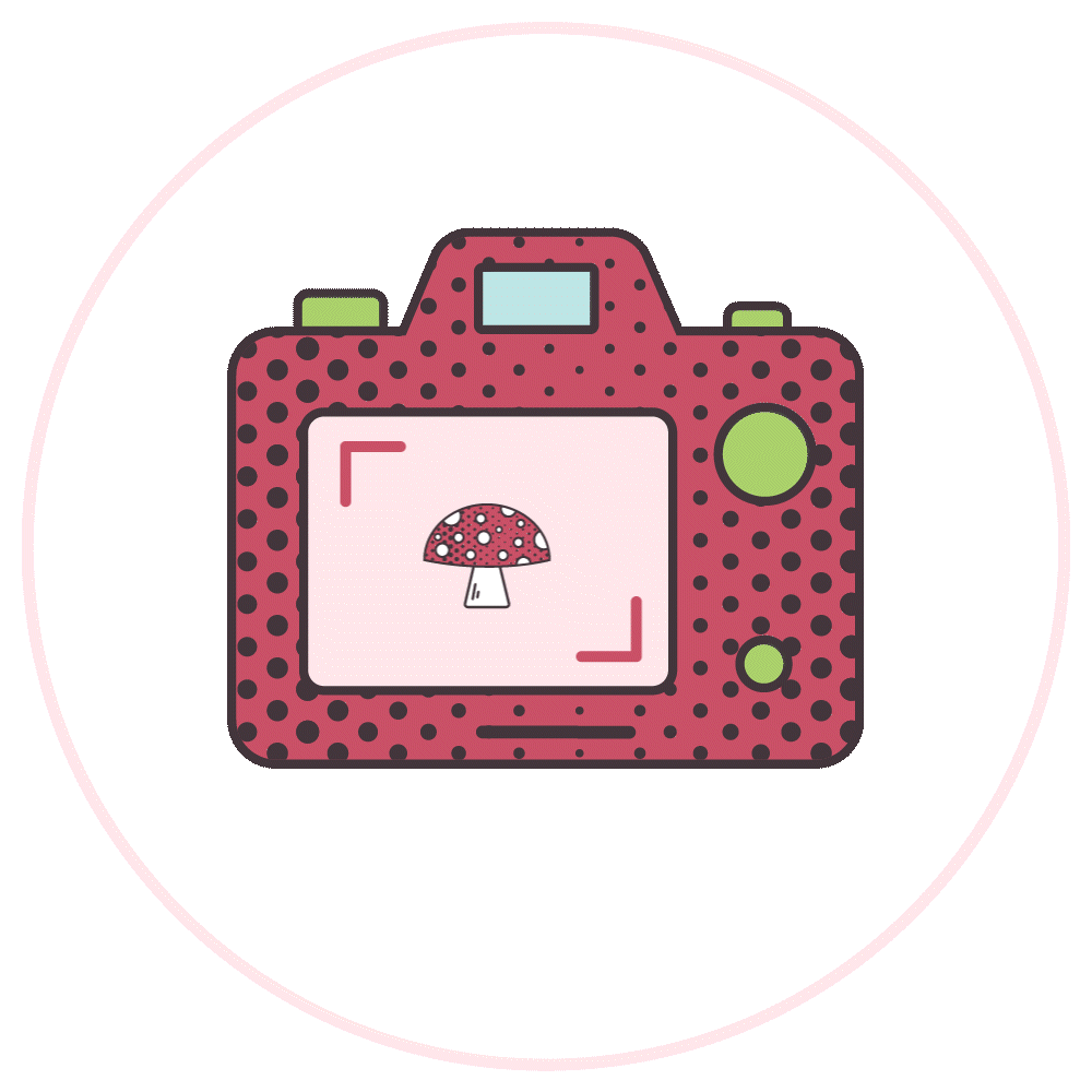 Beneath The Toadstool Art Direction – available for content creation and art direction of photography and video