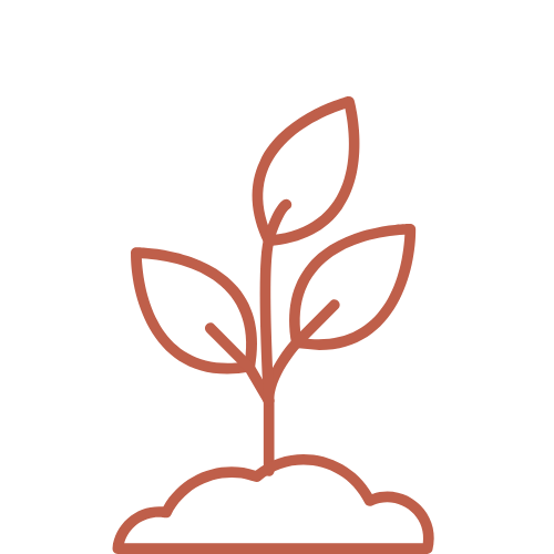 Eenvoudige lijntekening van een kleine plant met drie bladeren die uit de grond groeit.