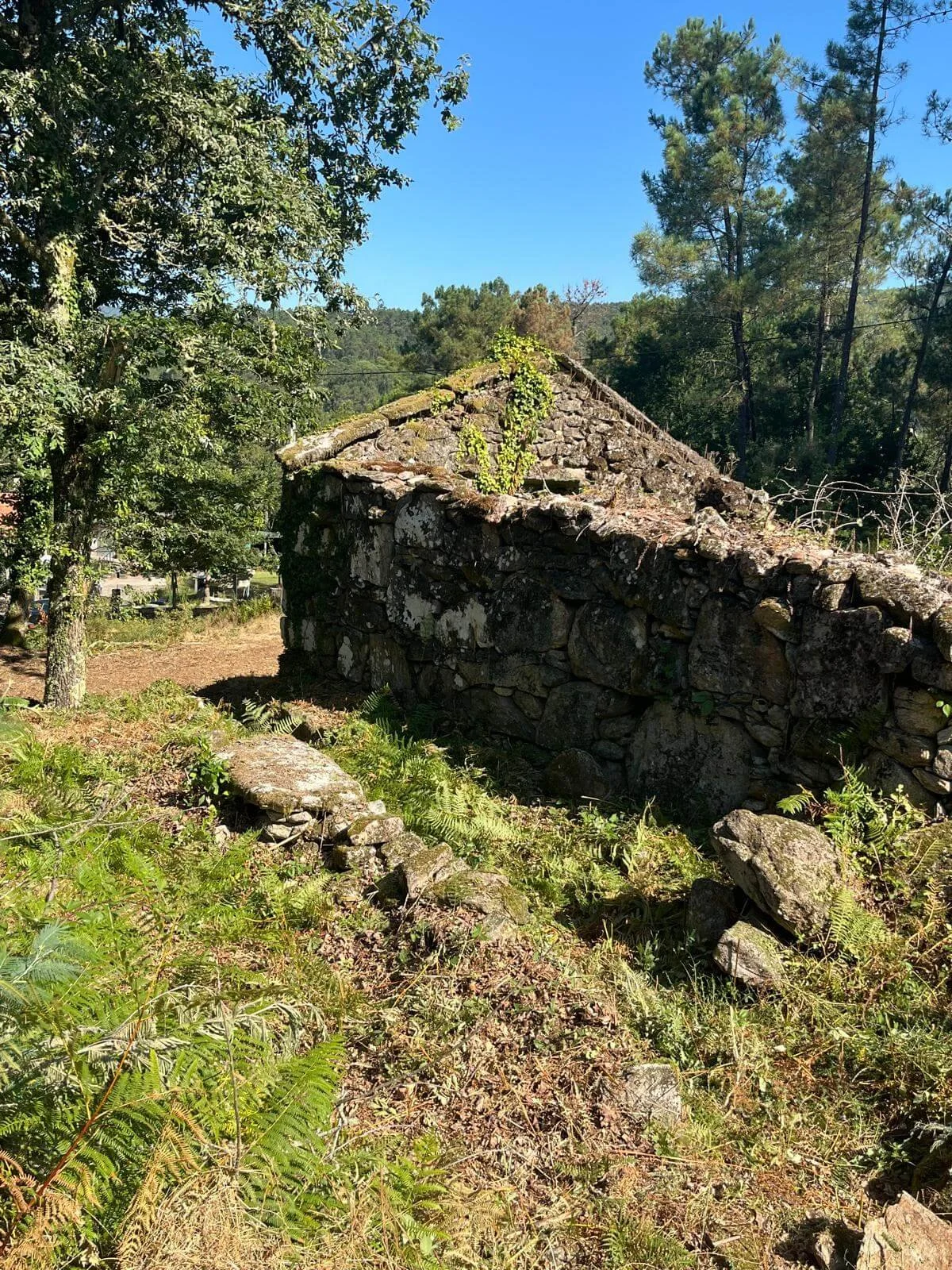 Salvaged Worlds - structure 2.jpg