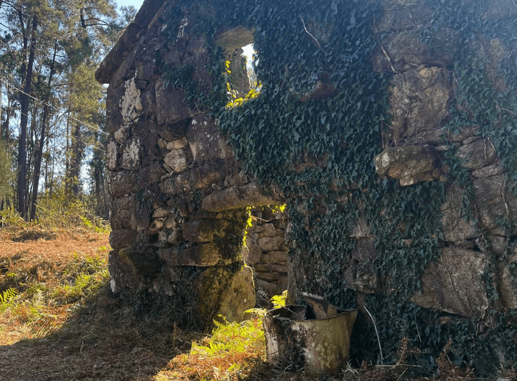 Salvaged Worlds - structure.png