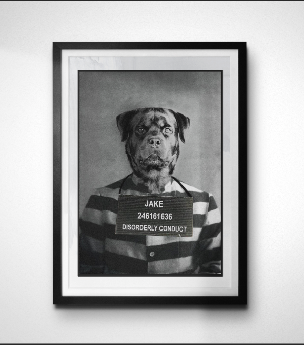 rottie screen snip.PNG