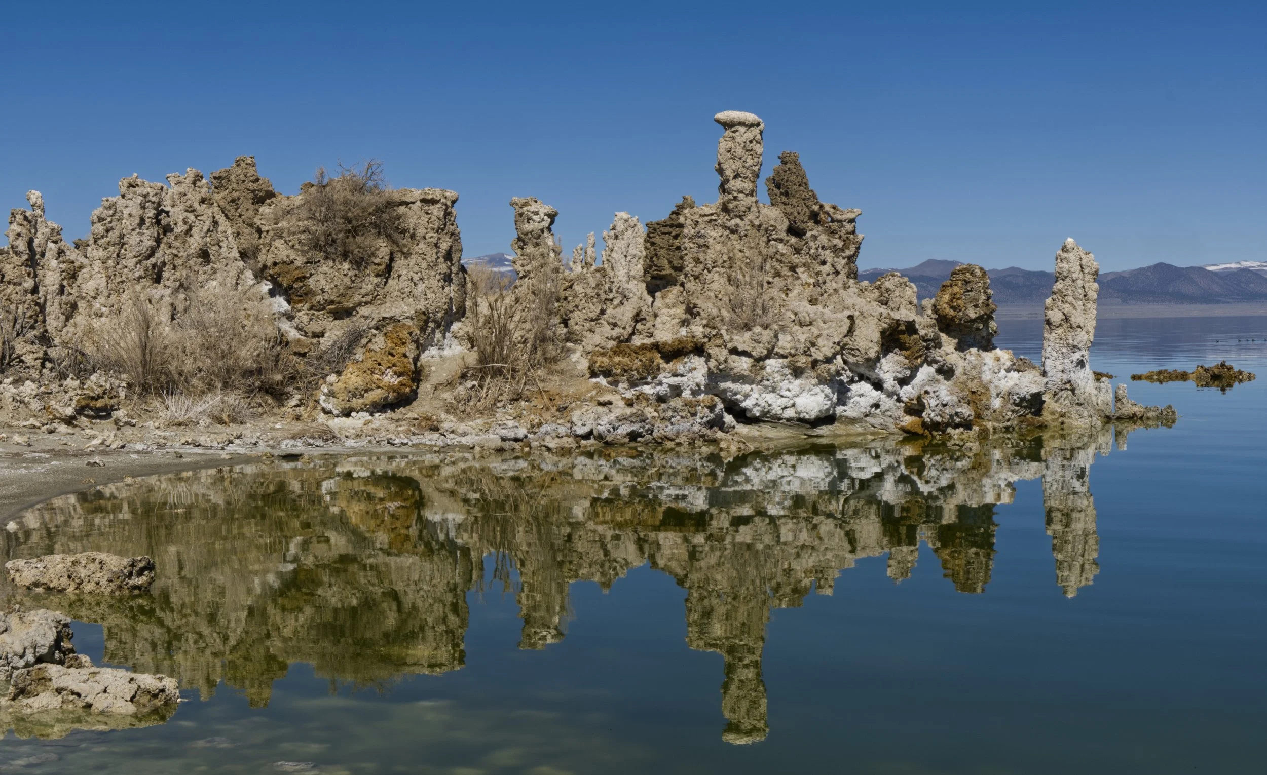 Mono Lake17.jpg