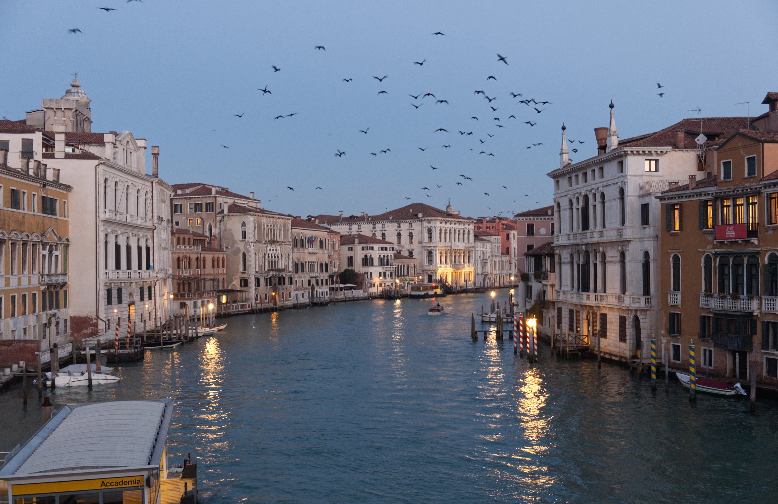 Venice_44.jpg