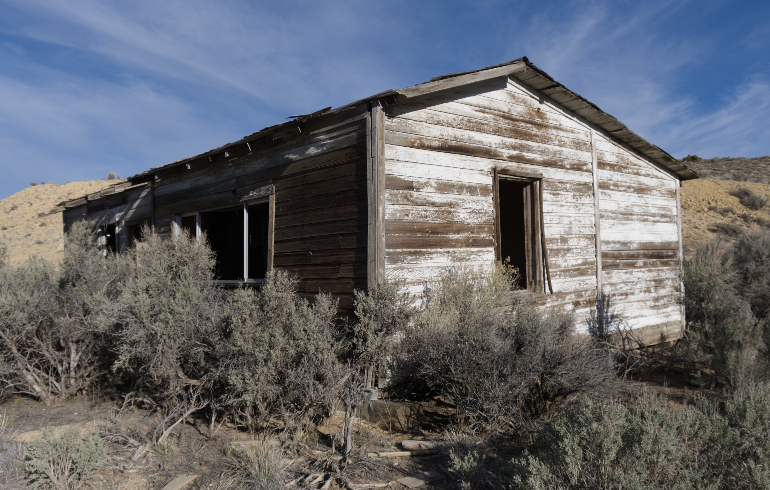 Nevada Roadside08.jpg