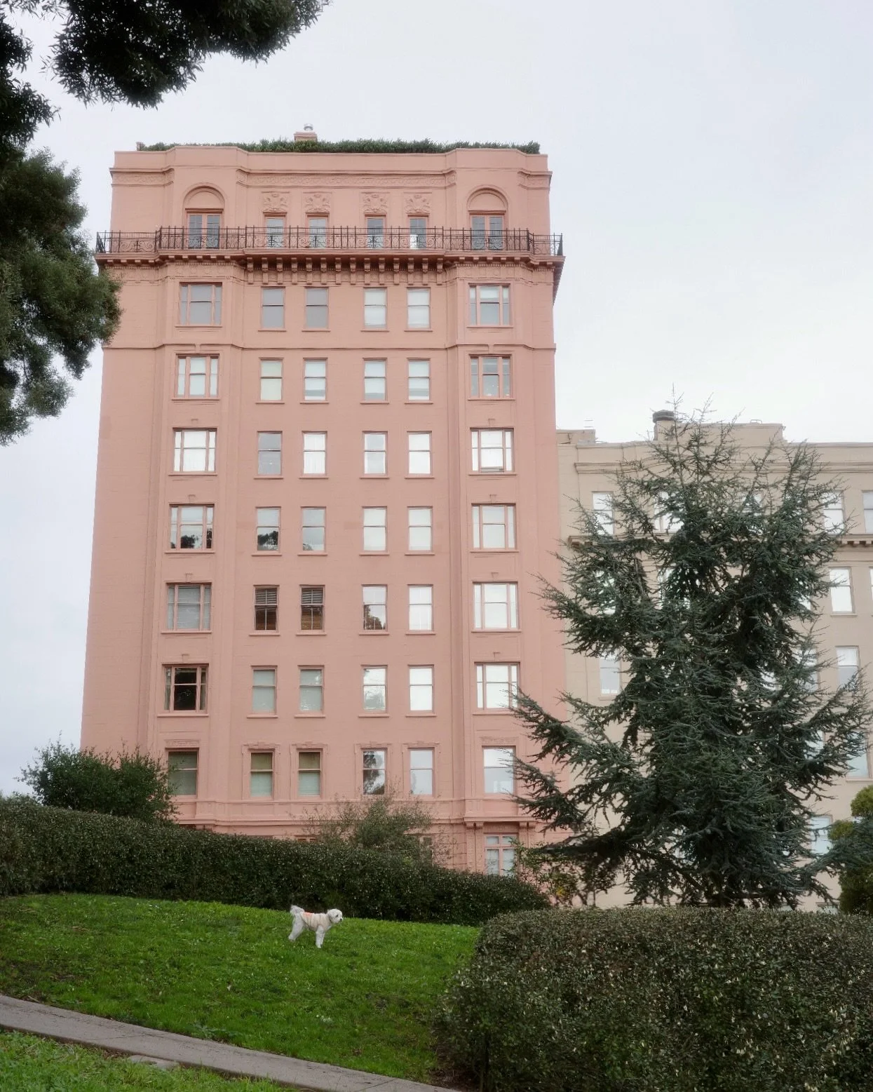 Took the kids out for a holiday in the city 🐾✨
Happy holidays! 🎄❤️