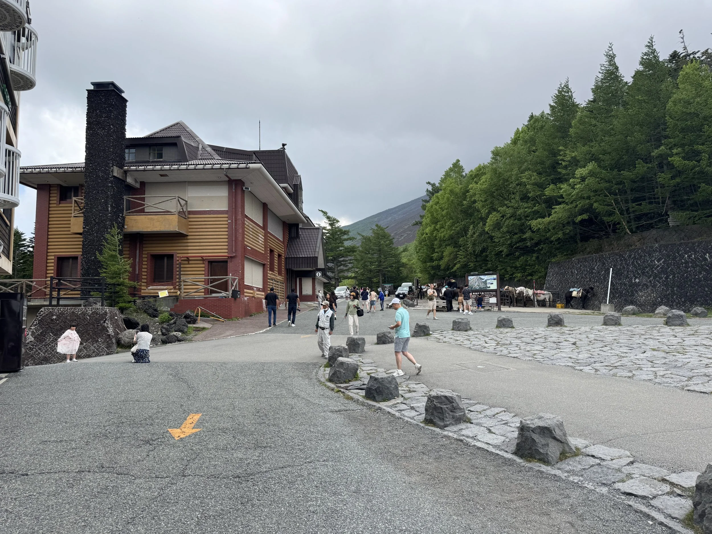 IMG_1784.jpeg