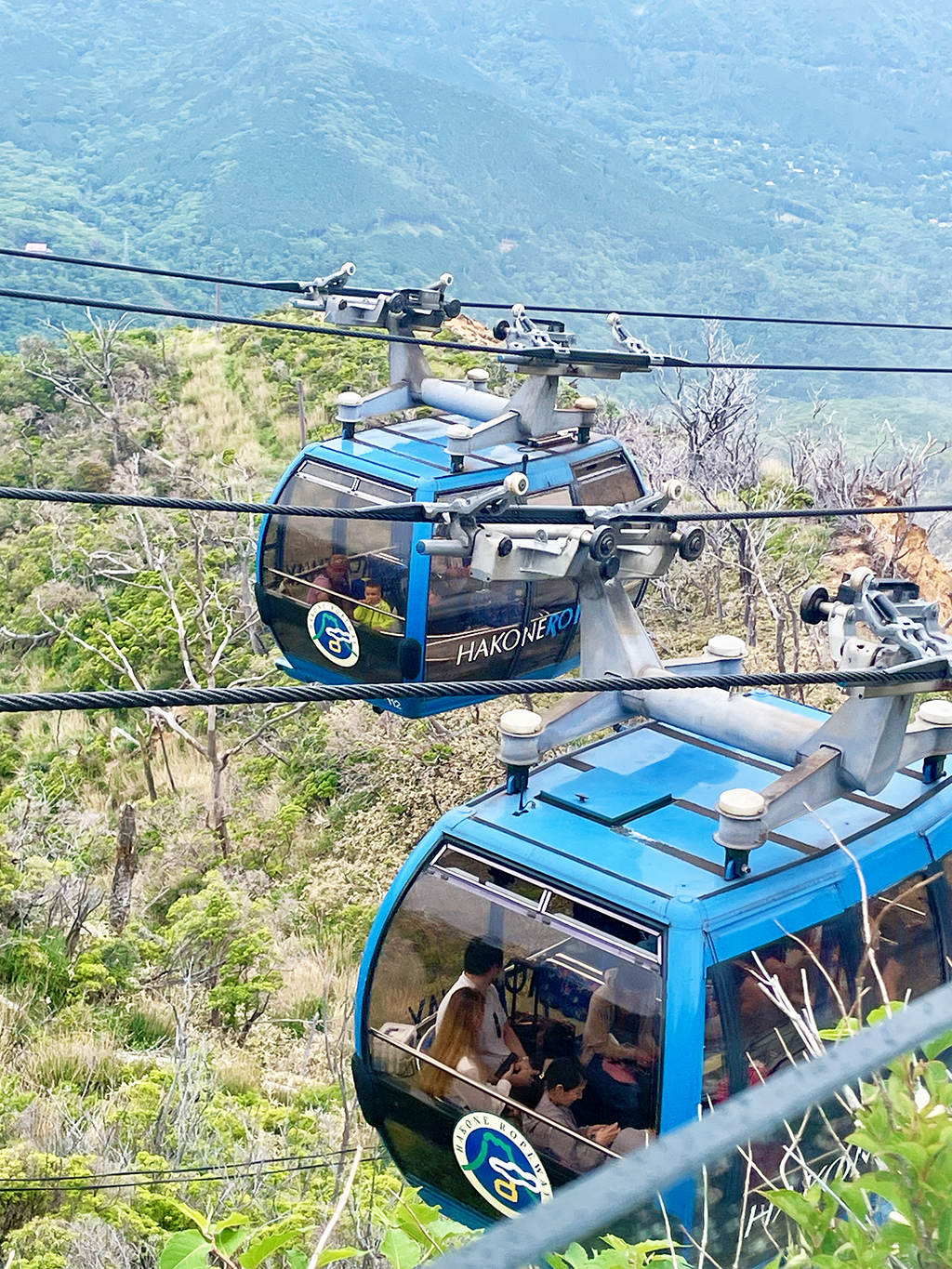 Hakone-rpw-2.png
