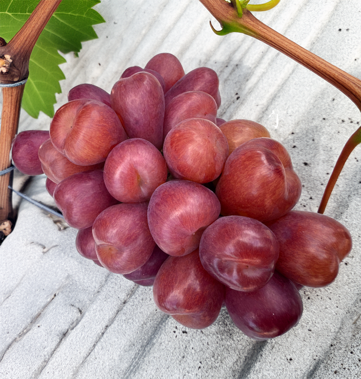 My-heart-grapes-1.png