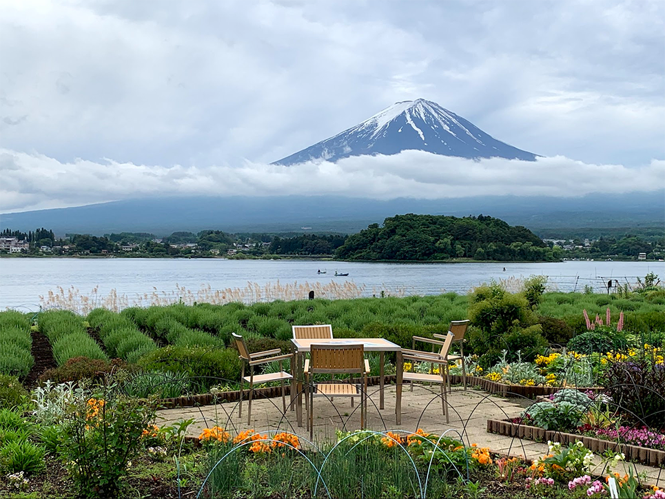 Oishi park2.png