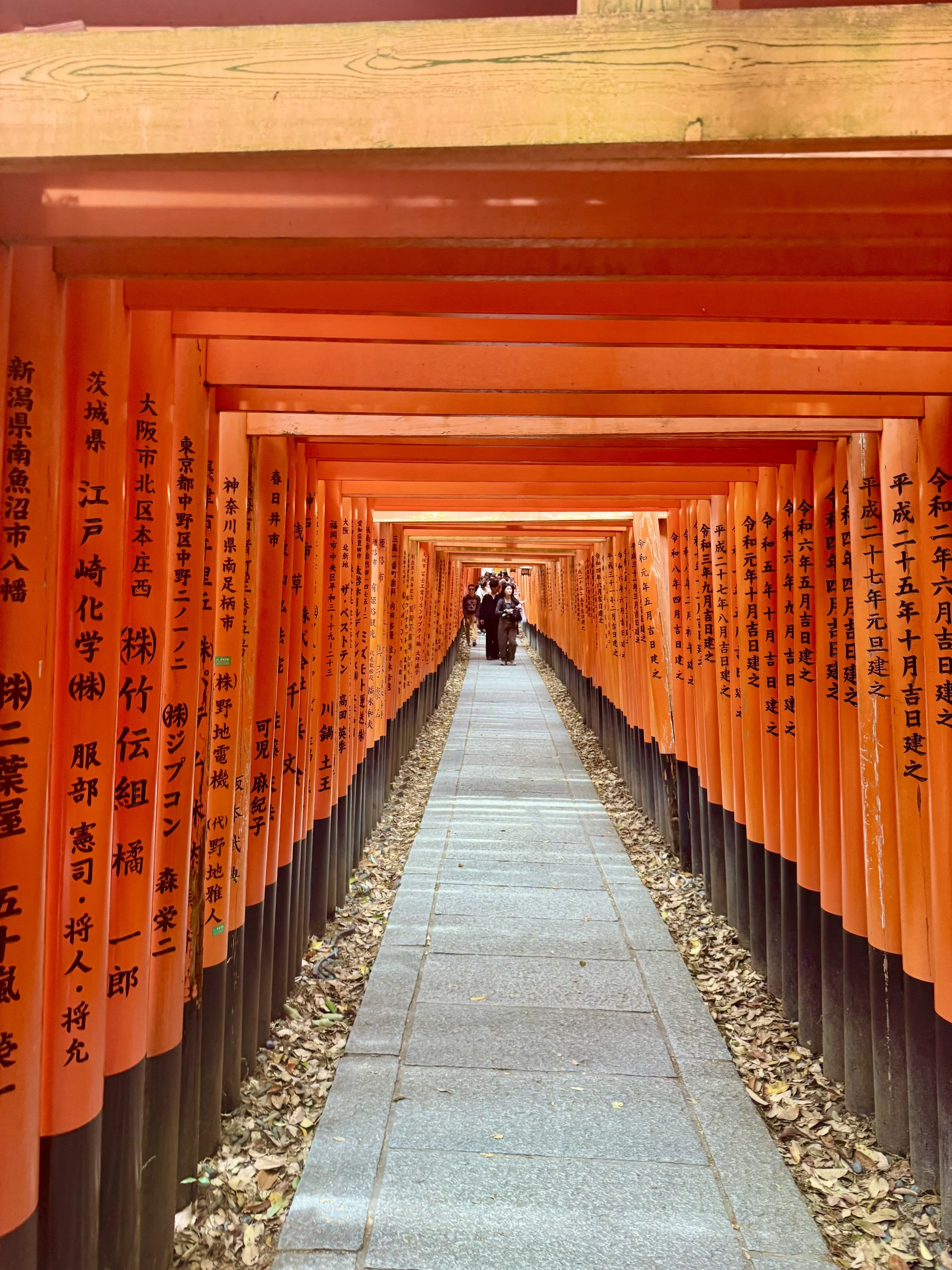 IMG_3639.jpeg