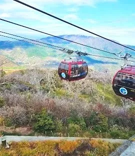 Tour a Hakone en Español o Inglés