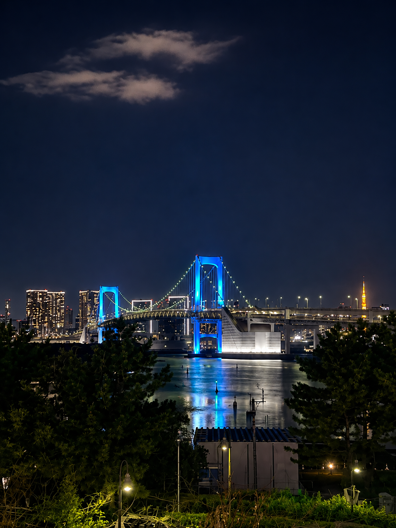 Odaiba-5.png