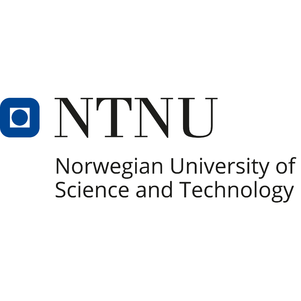 LOGO NTNU.png