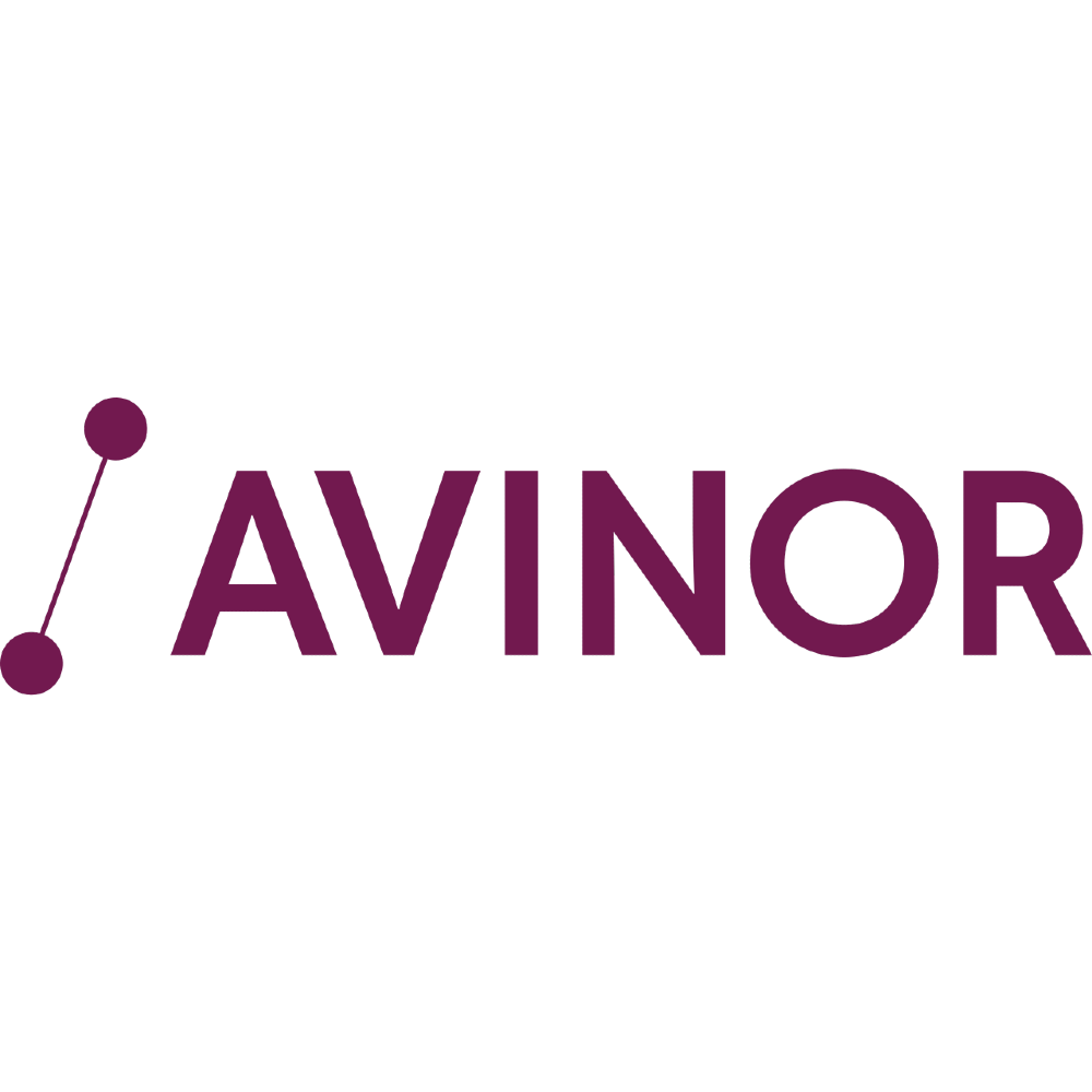 LOGO AVINOR.png