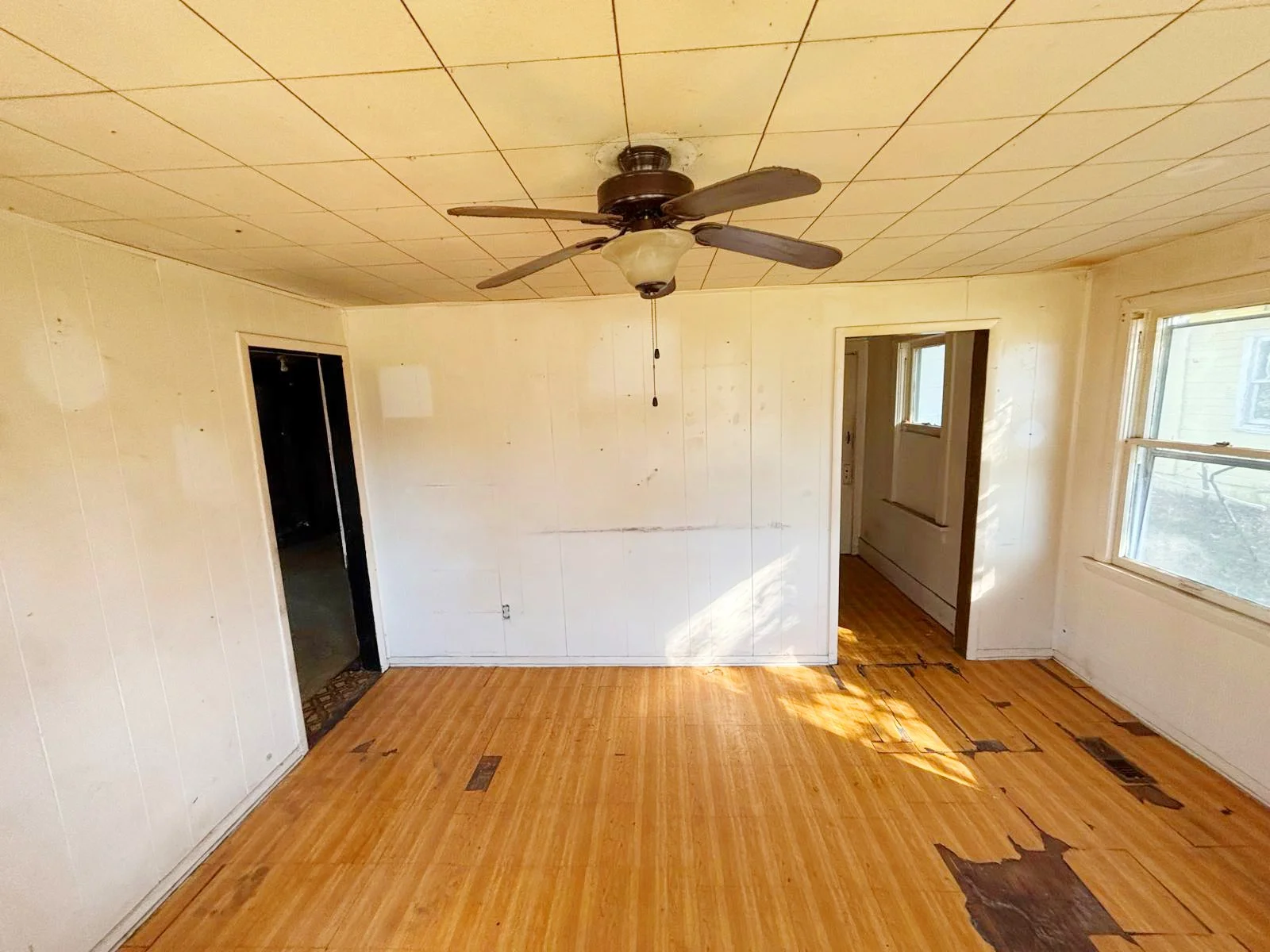 WhatsApp Image 2025-11-07 at 10.16.08.jpeg