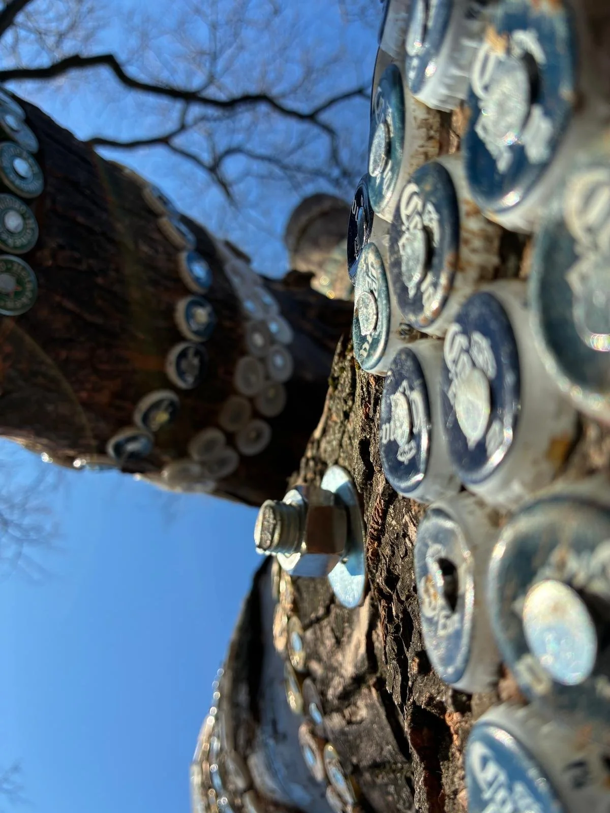 WhatsApp Image 2025-11-21 at 18.12.11 (1).jpeg