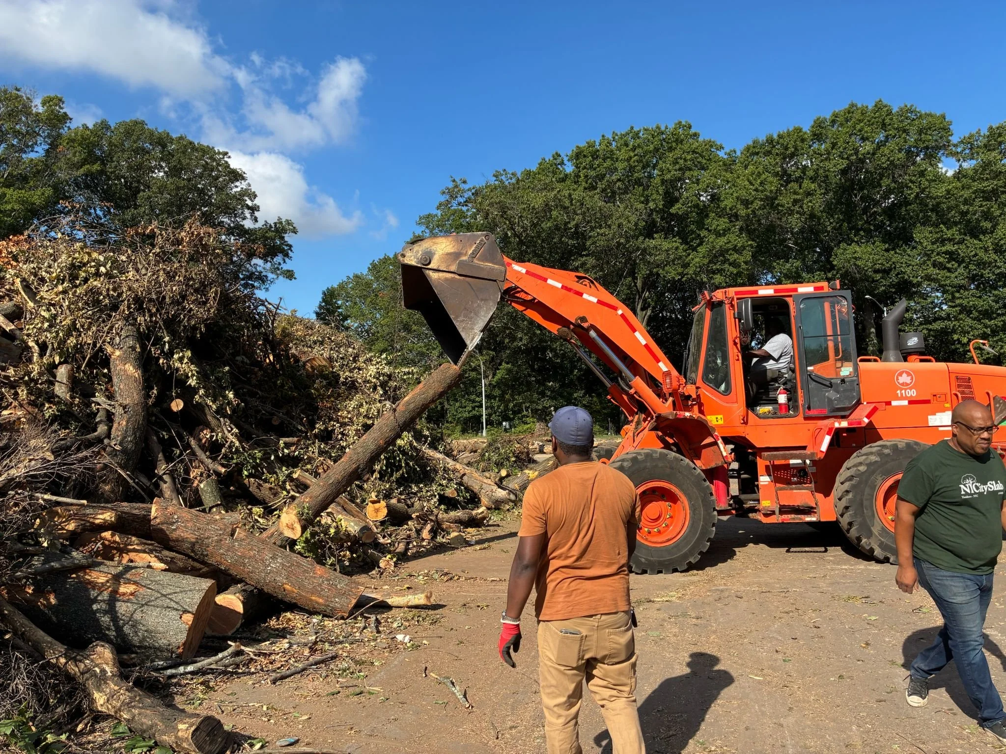 WhatsApp Image 2025-09-03 at 10.45.22.jpeg