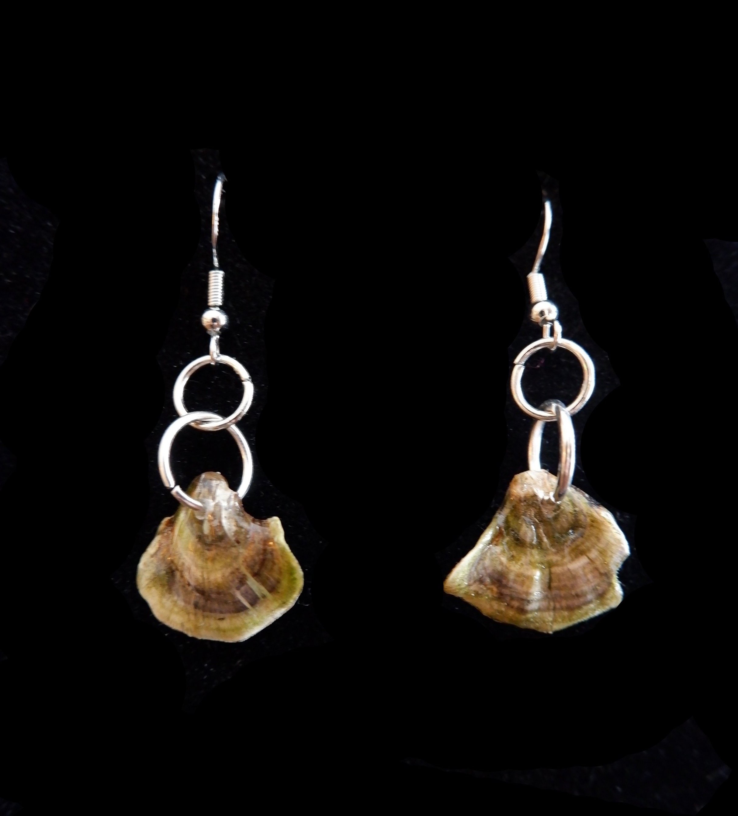 Turkeytail dangle S6389