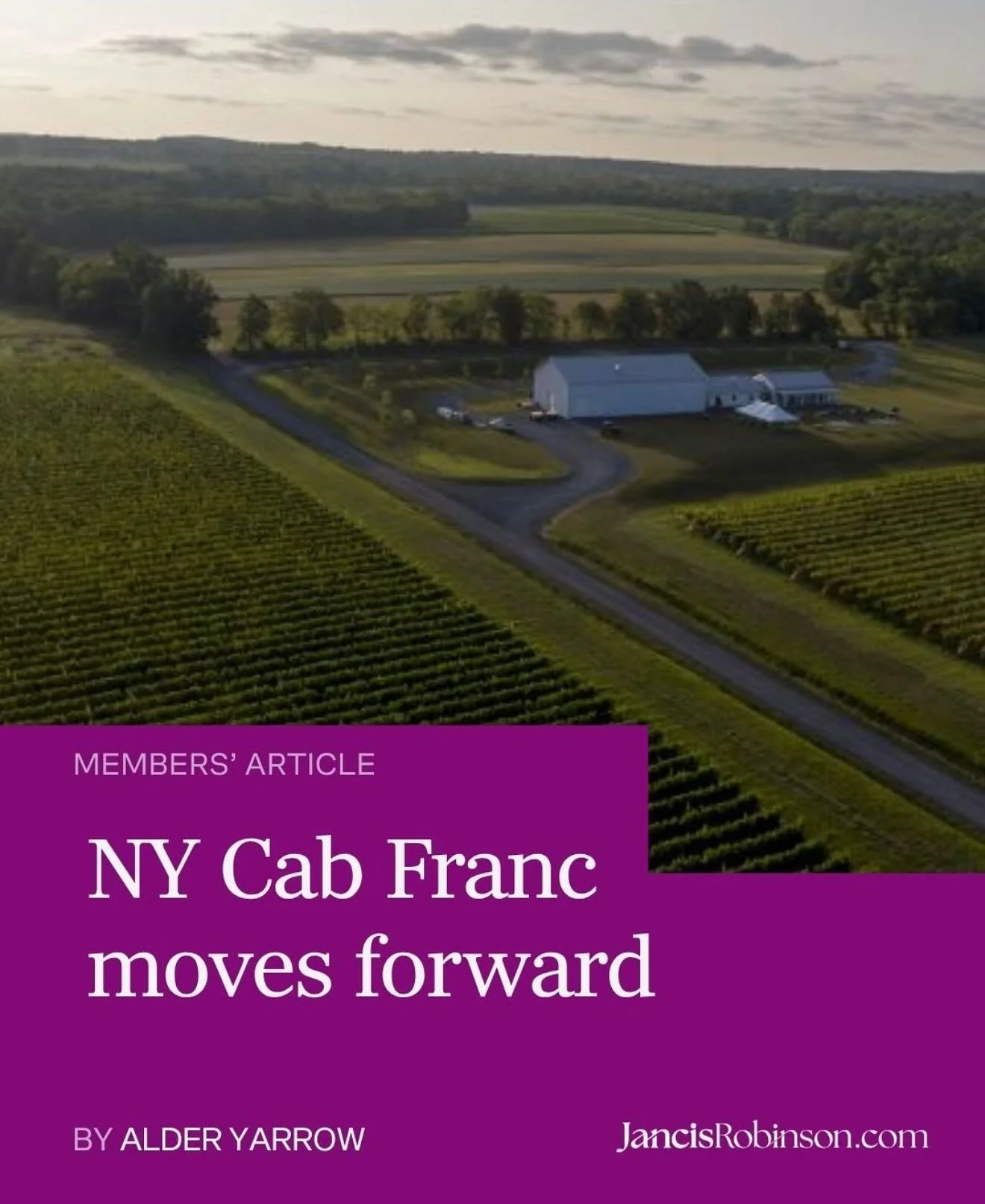 &ldquo;Despite the significant climatic differences among regions, New York&rsquo;s Cabernet Francs have a number of admirable features in common. Their restrained alcohol levels, excellent acidity and purity of red-fruit character (often uncomplicat