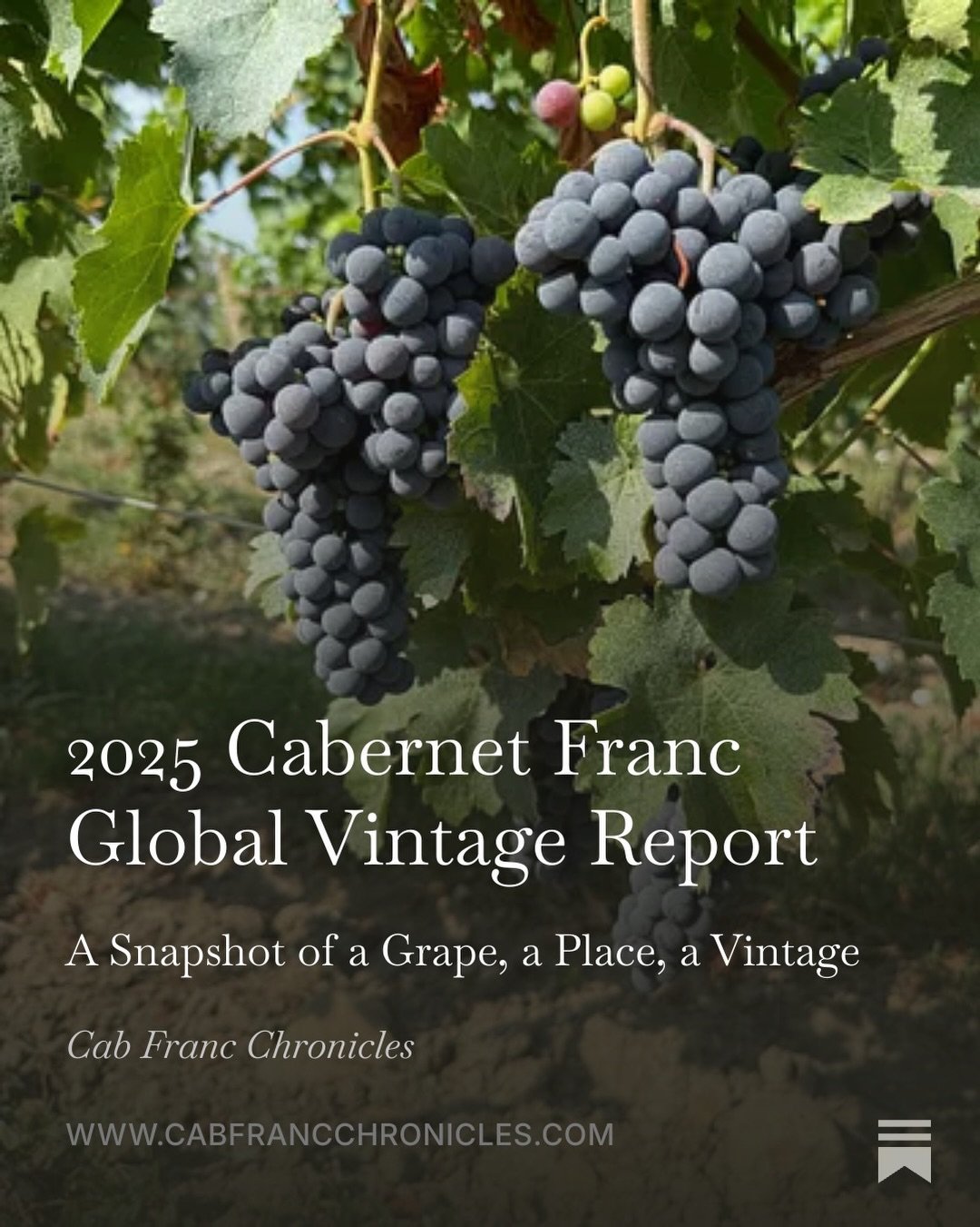 The 2025 Cabernet Franc Global Vintage Report from @cabfrancchronicles is officially live! 🍷✨

We&rsquo;ve pulled the local highlights from Allison Slute&rsquo;s latest deep dive to see how our regions navigated the season. From the North Fork&rsquo