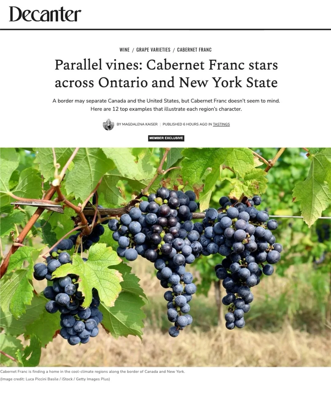 A recent feature in @decanter by Magdalena Kaiser @mkaiserwine highlights the shared viticultural corridor connecting Ontario and New York State. 🍇

As Cab Franc Forward co-founder Gabriella Macari MW @gabriellamacarimw notes: &ldquo;Sommeliers and 