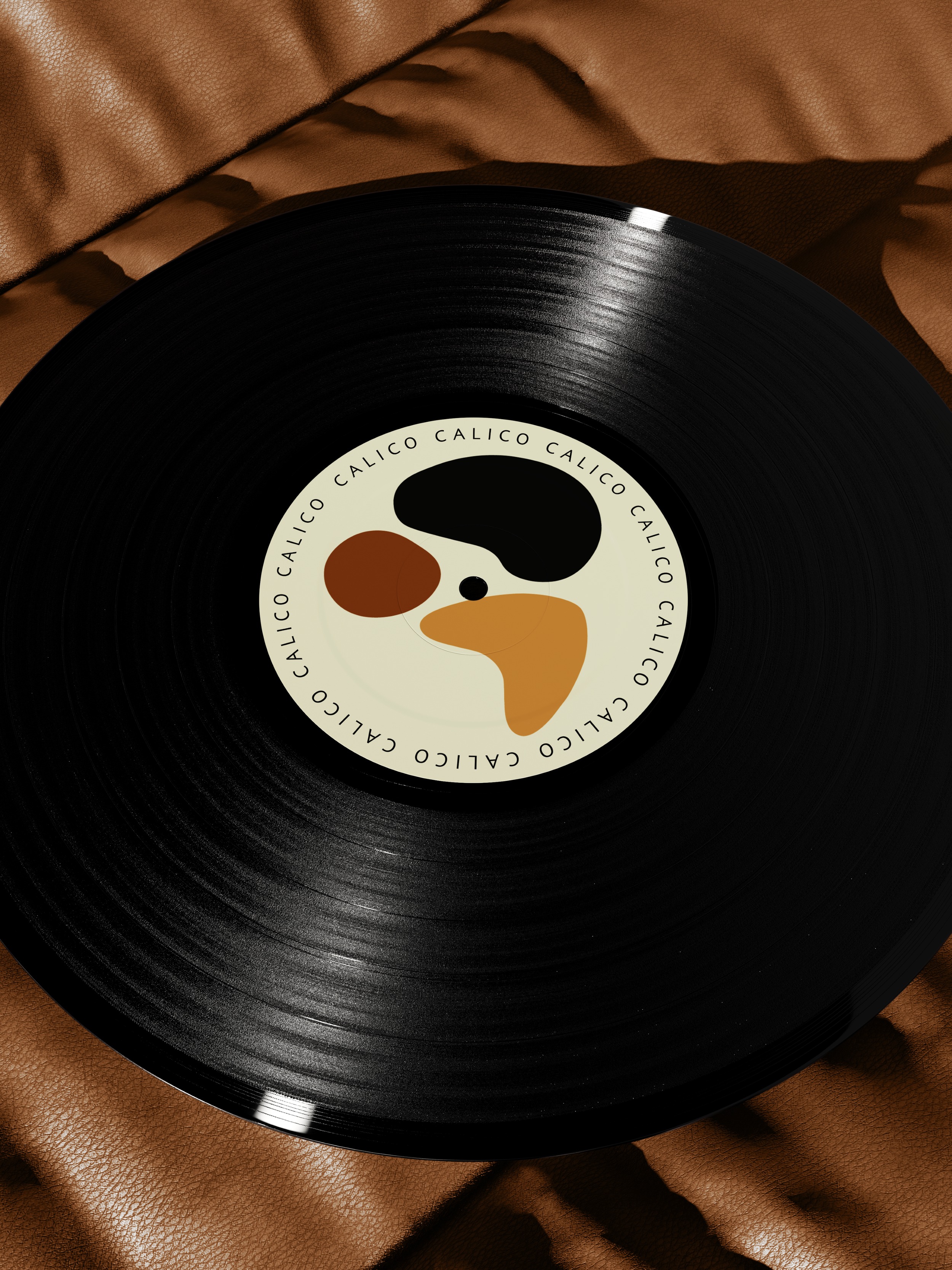 Vinyl on sofa 01.png