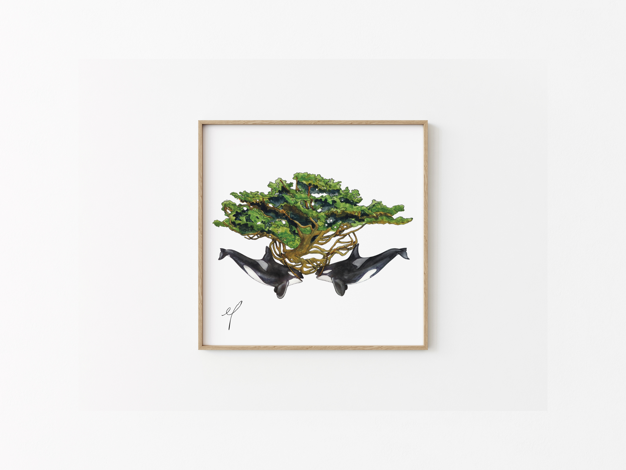 Orca Tree of Life Matriarchs