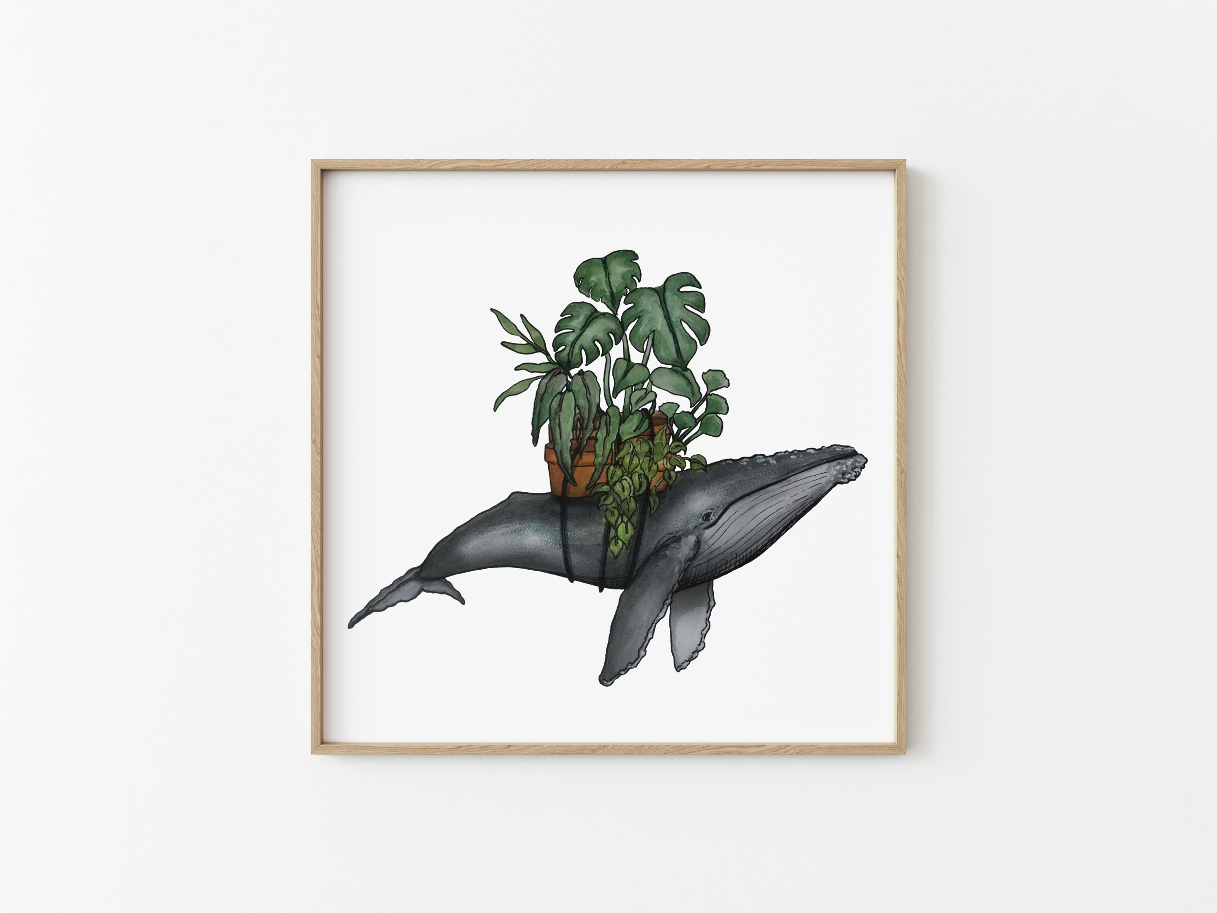 Humpback Plant Stack