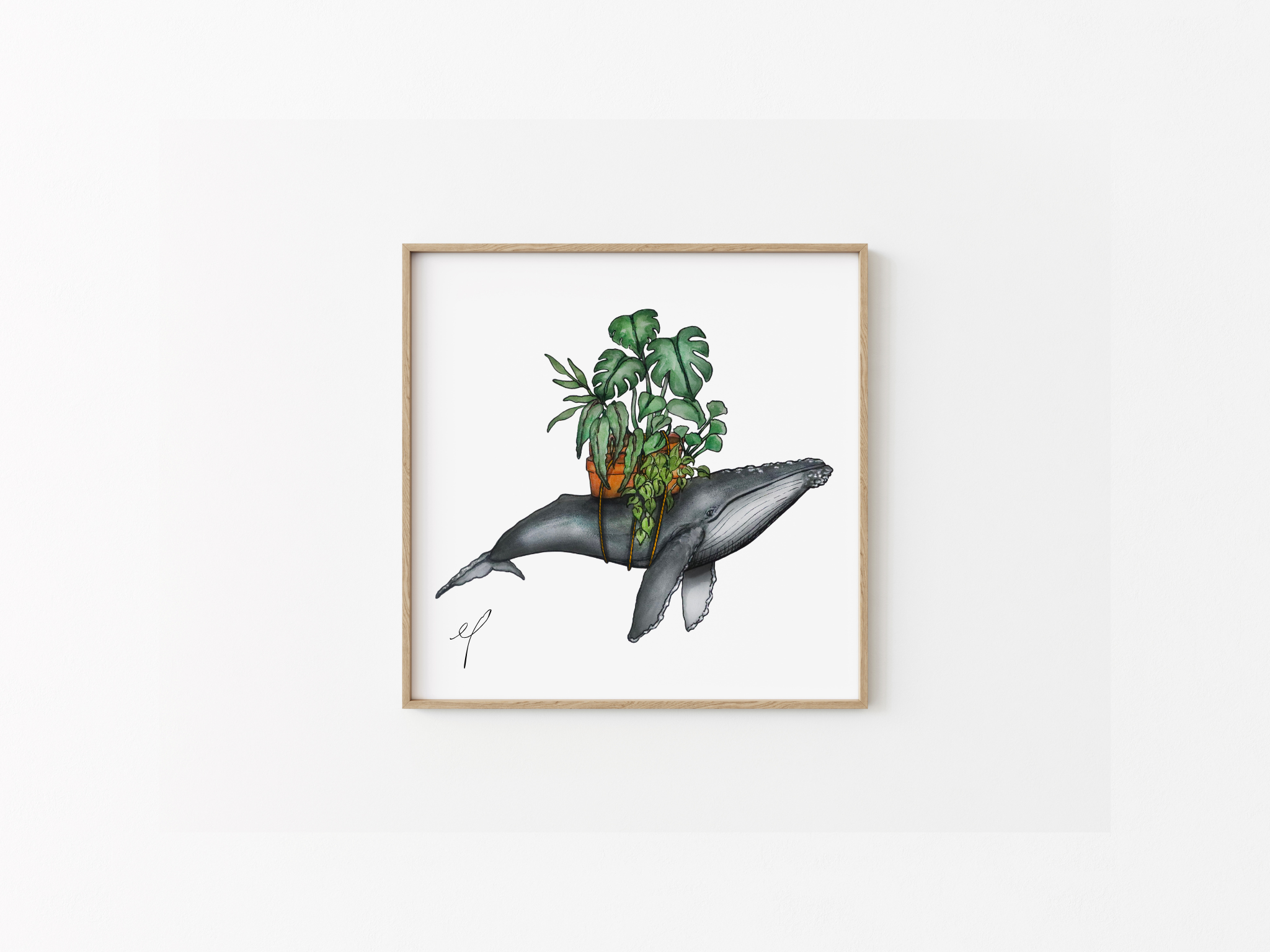 Humpback Plant Stack