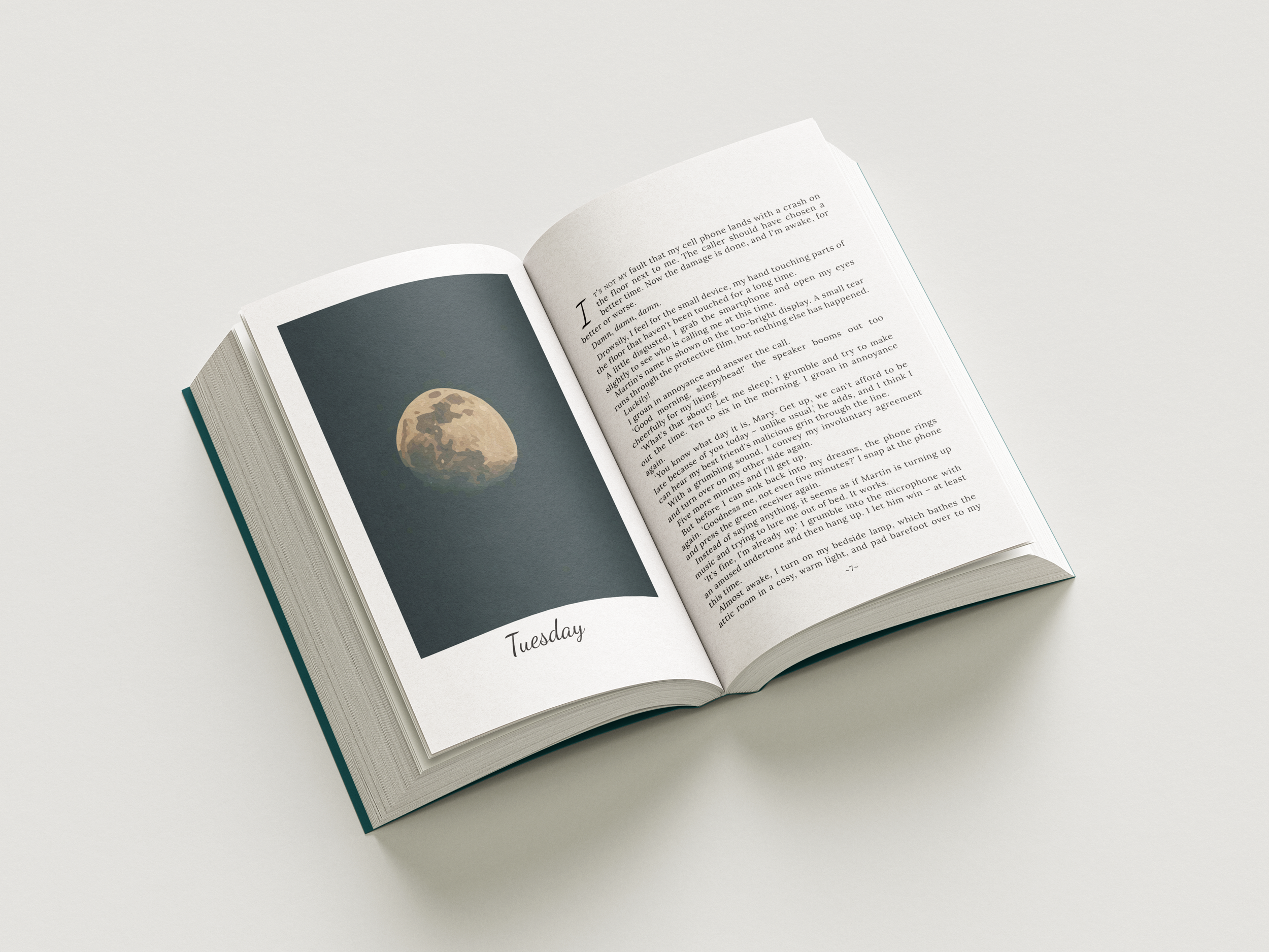 Paperback_Book_Mockup_6 inside.png