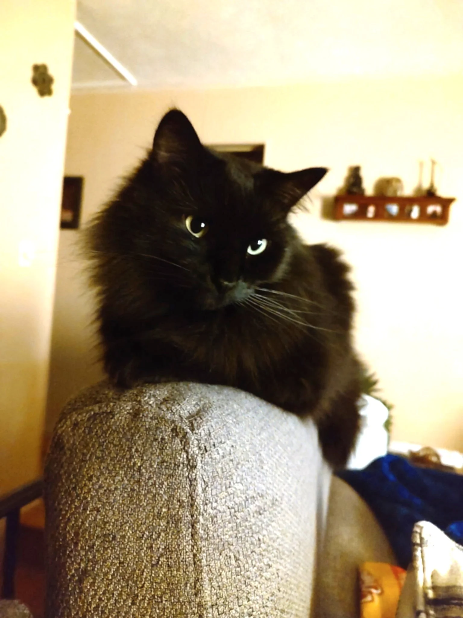 February 2026: Baxter Thorp