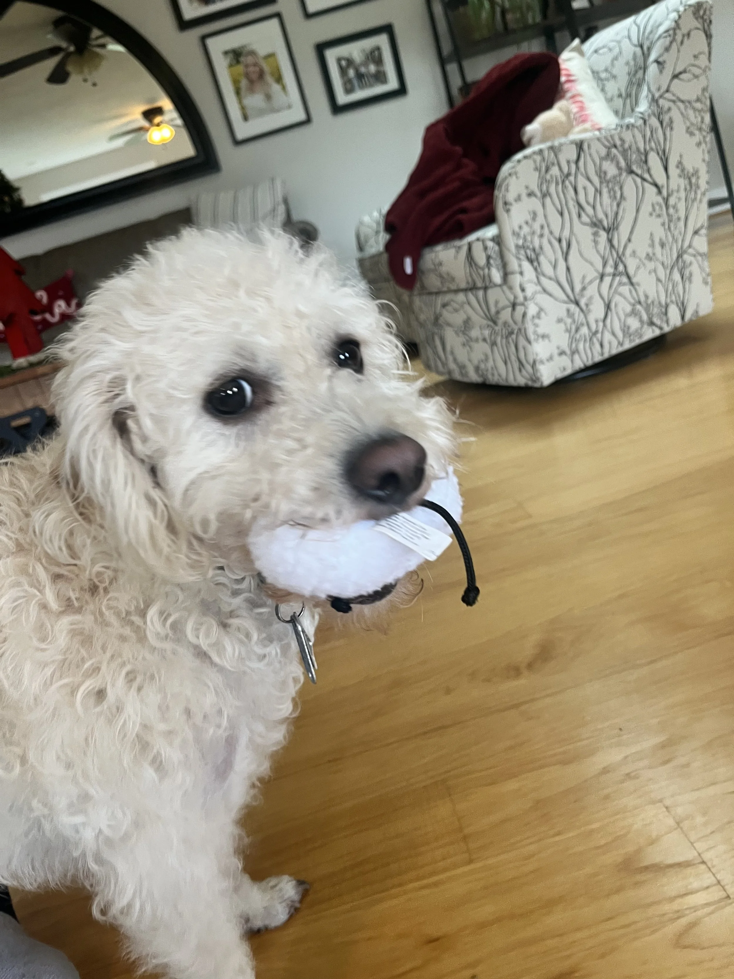 IMG_0814 (1).jpeg
