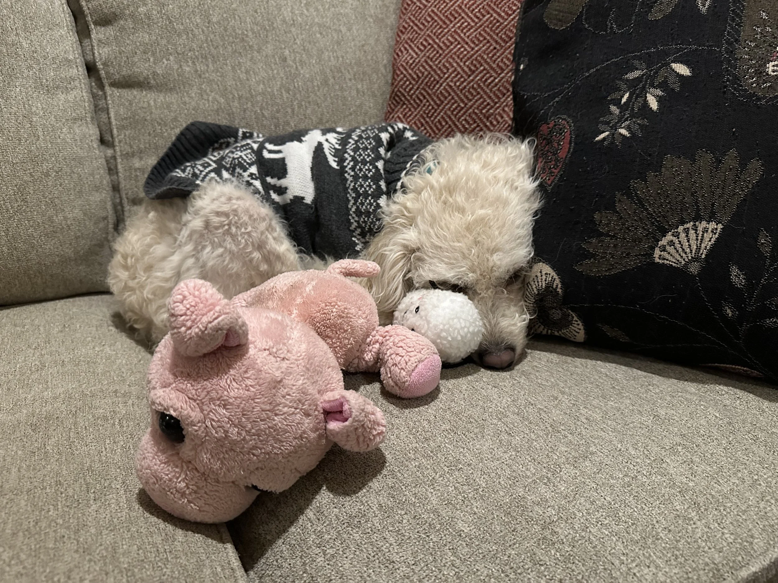 IMG_4581 (1).jpeg