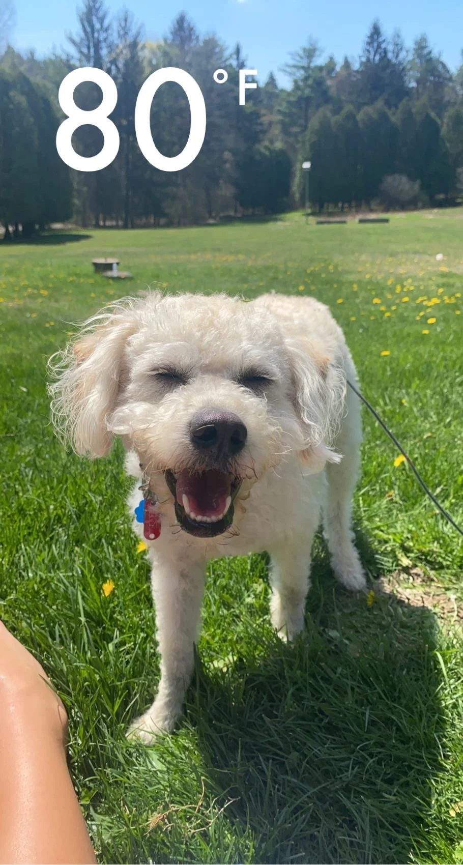 April 2026: Luna Matson