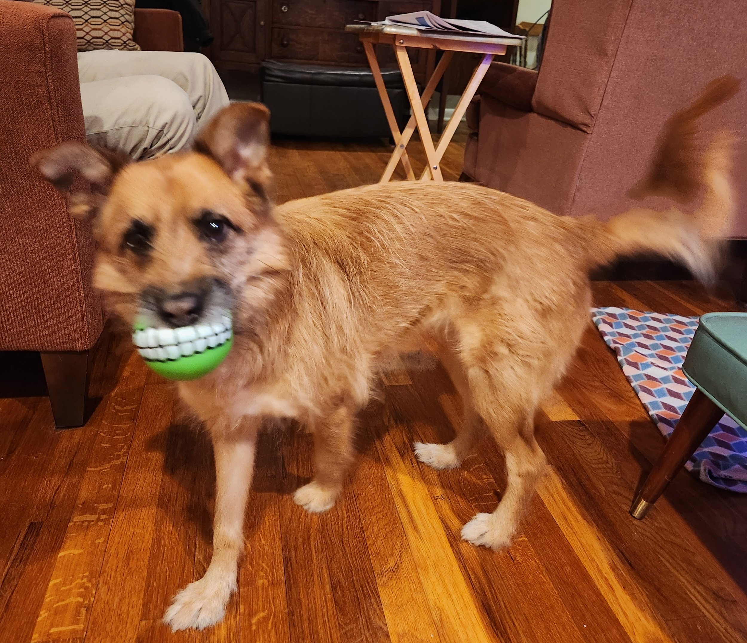 20260127_201949.jpg