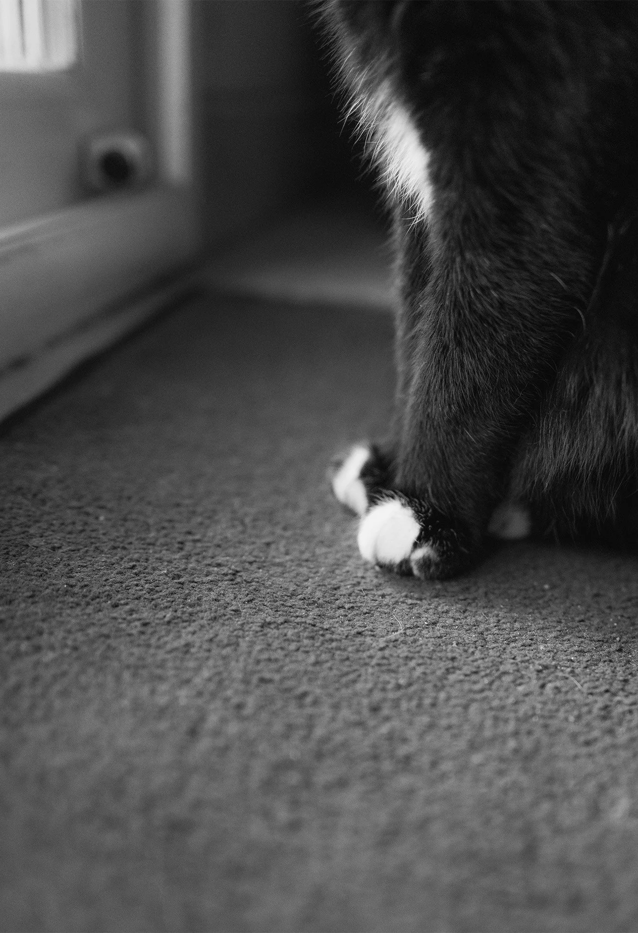 jarvisdoormat.jpg