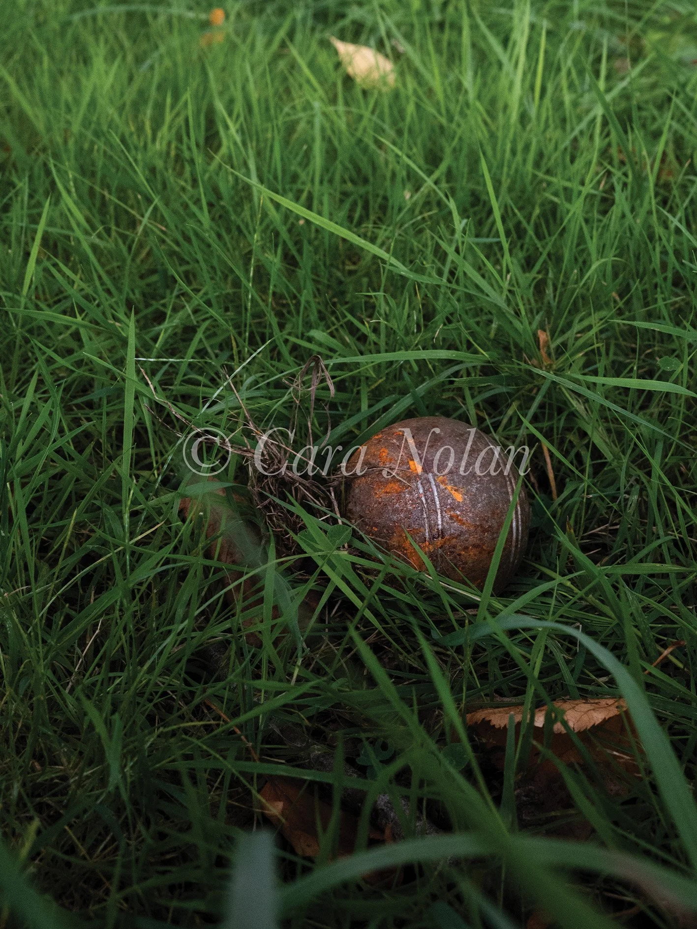ballepétanquereduced.jpg