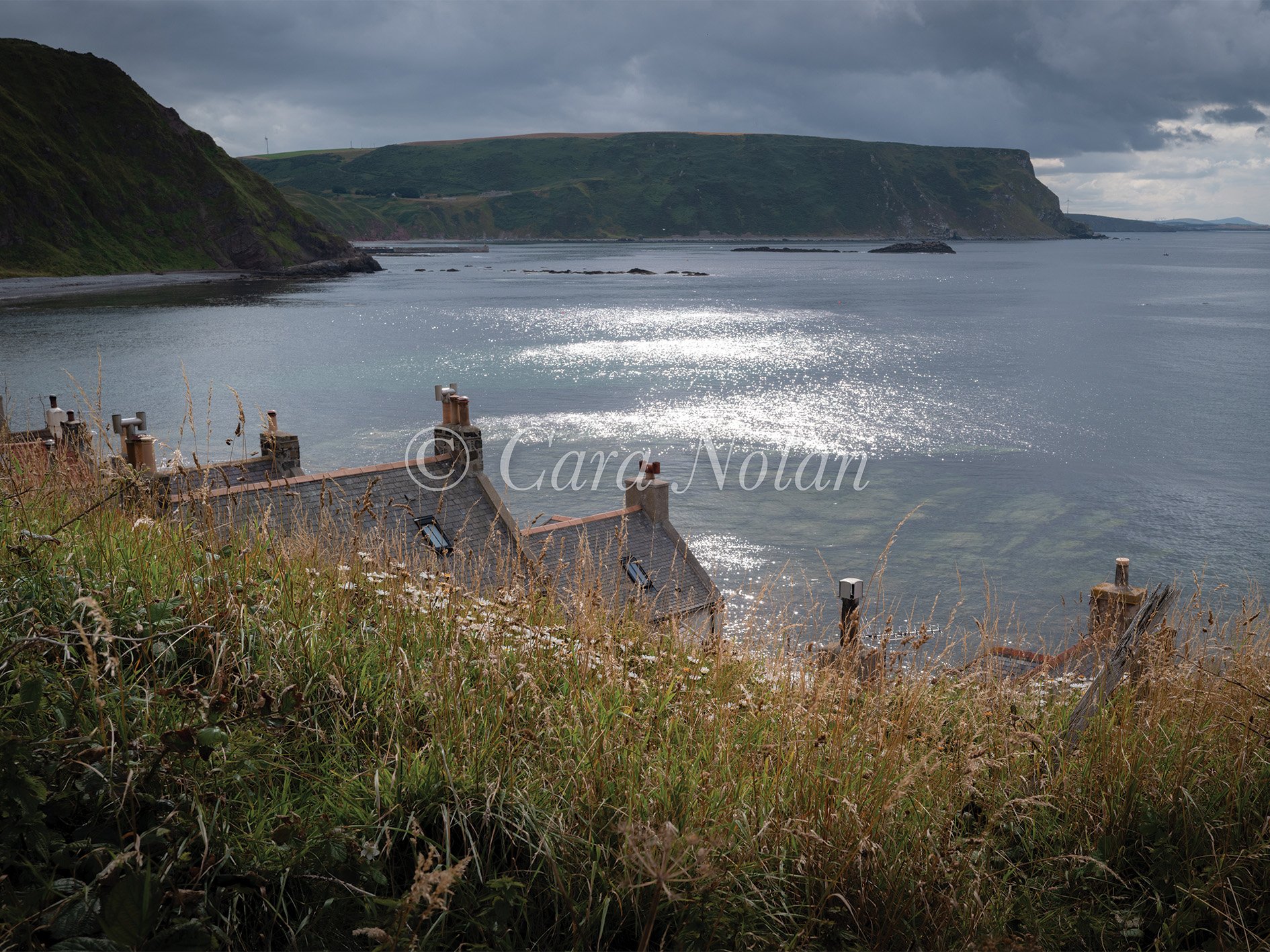 crovie9.jpg