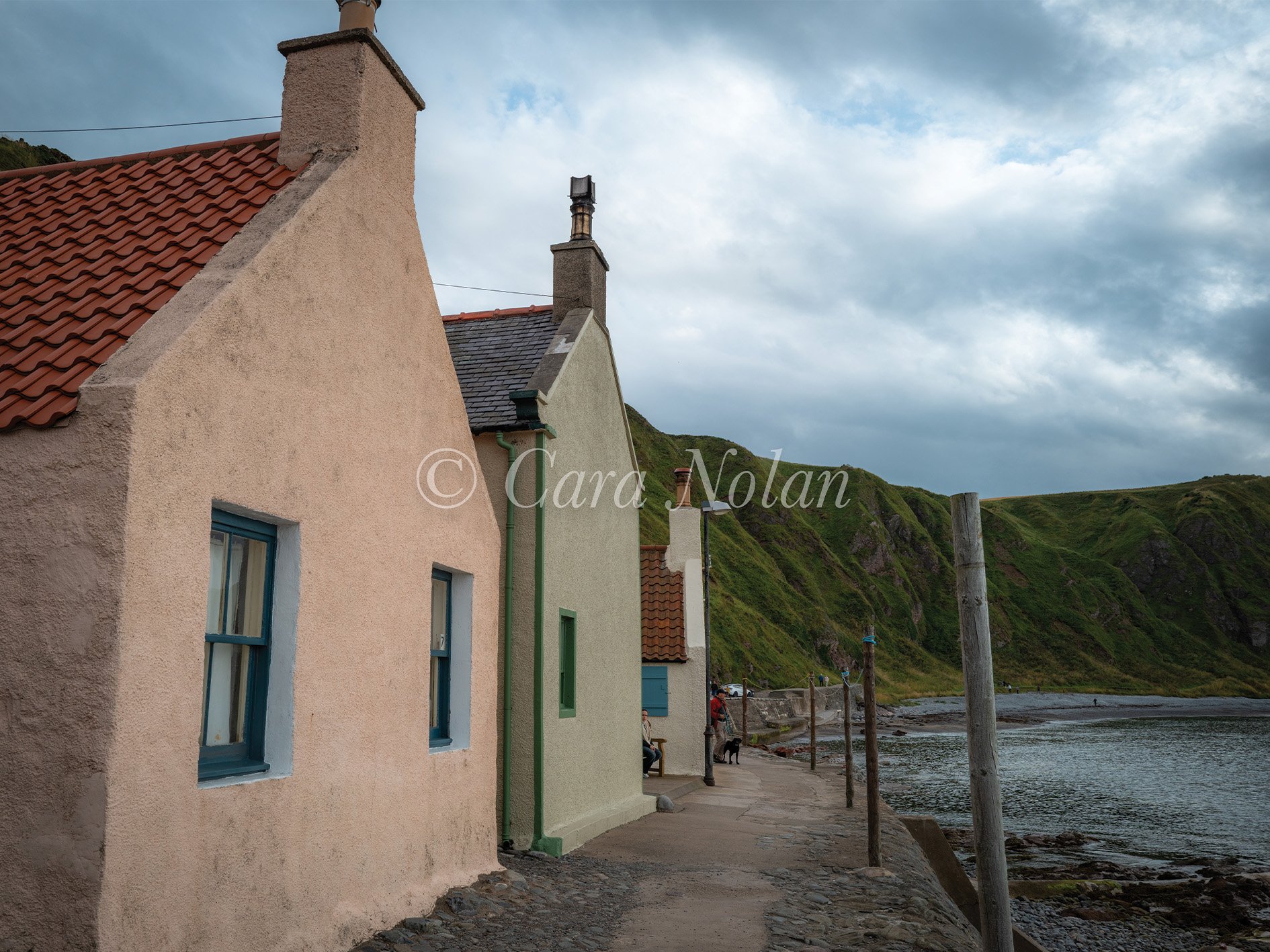 crovie2.jpg