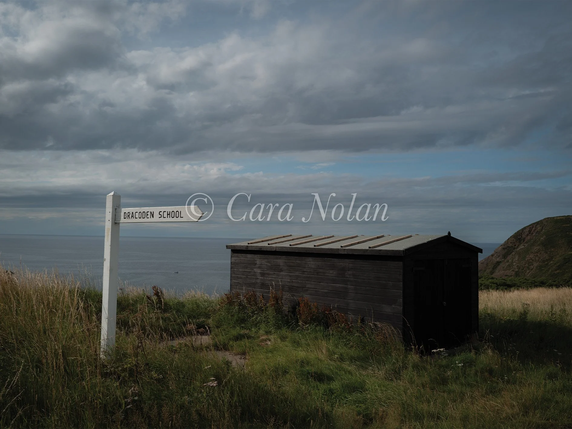 crovie 14.jpg