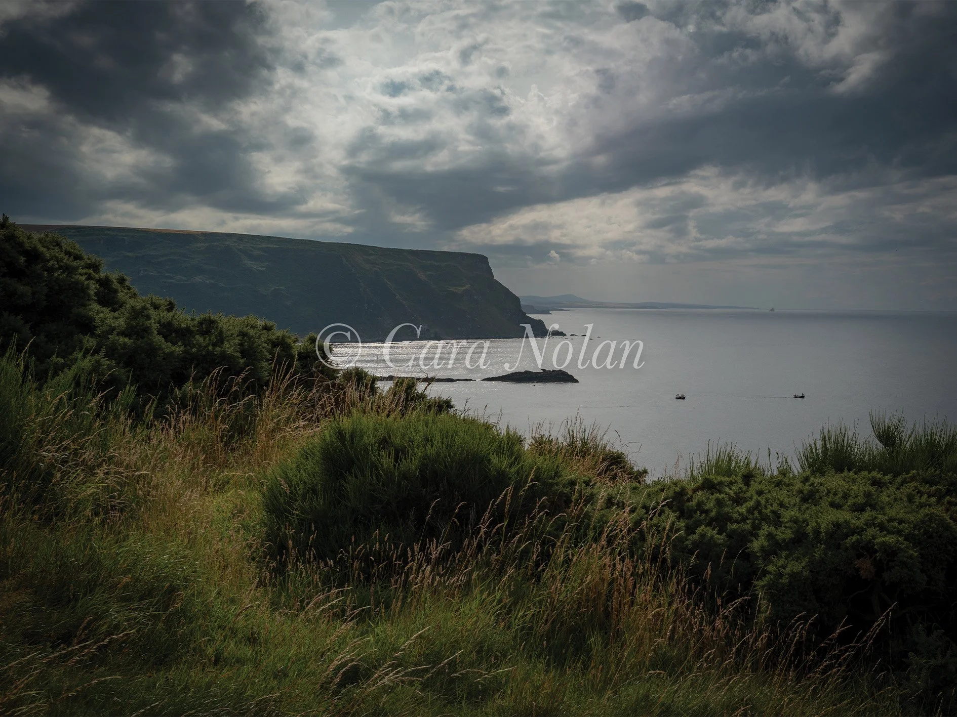crovie1rdc.jpg