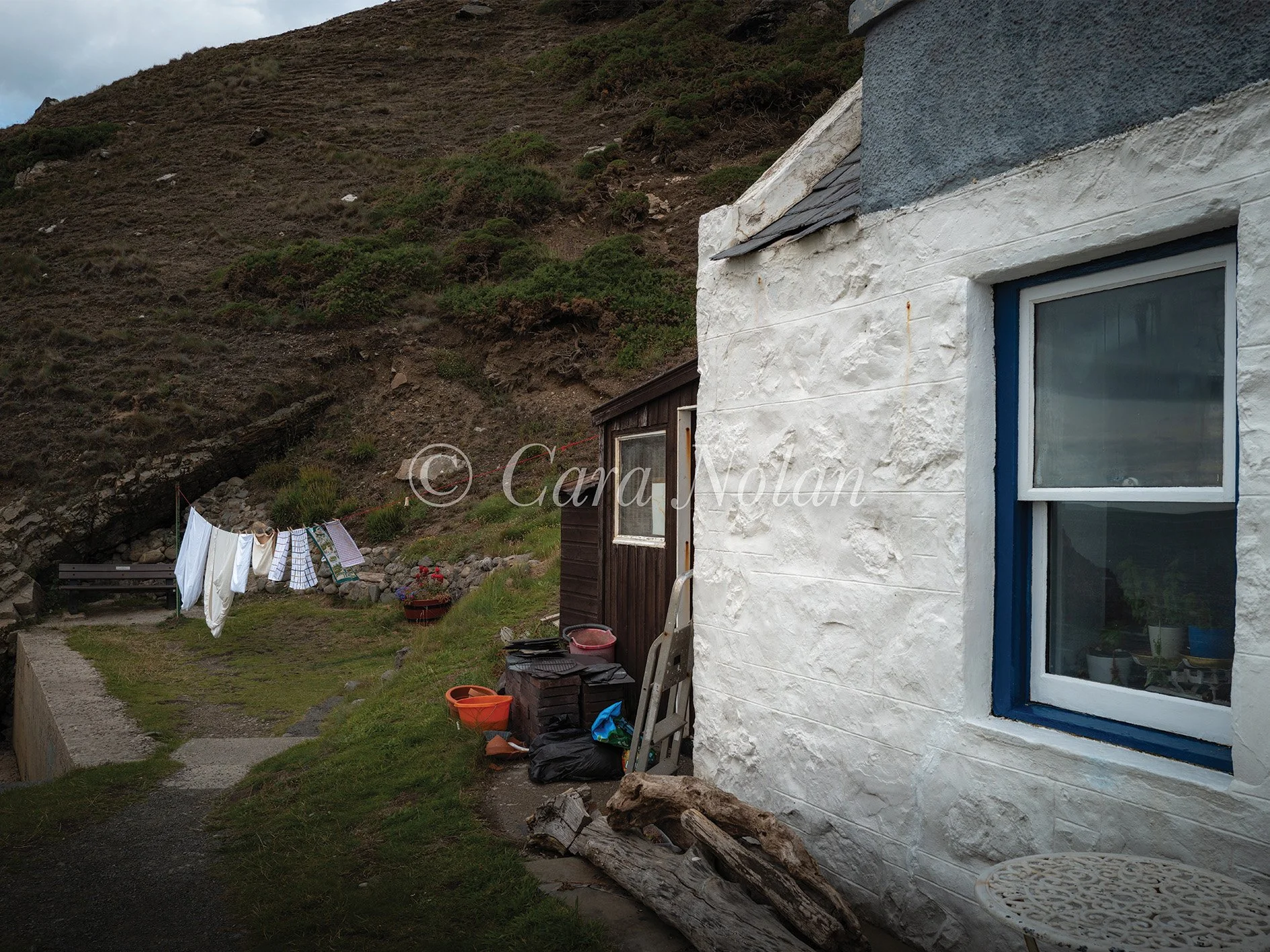 crovie11rdc.jpg